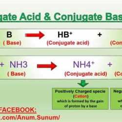 Conjugate acid base pairs worksheet answers