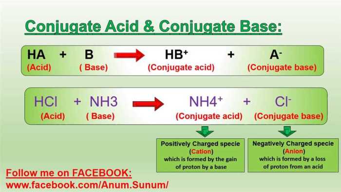 Conjugate acid base pairs worksheet answers