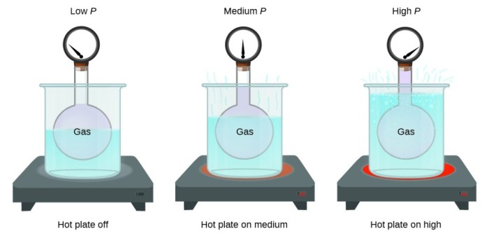 A container containing 5.00 l of gas