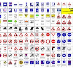 Road signs bitlife driving test answers