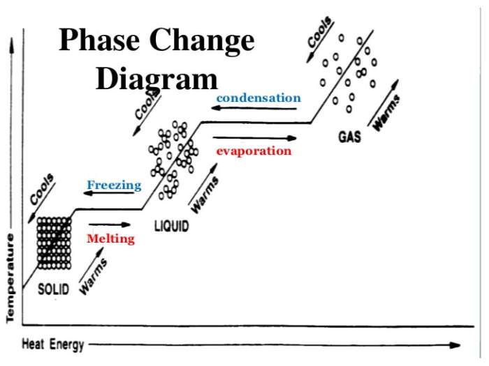 Phase change graph worksheet answers