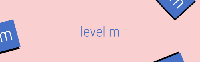 Reading plus answers level m