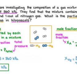 A container containing 5.00 l of gas