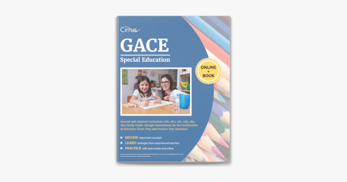 Gace special education general curriculum practice test