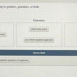 Genomics genetics genetic geneticeducation