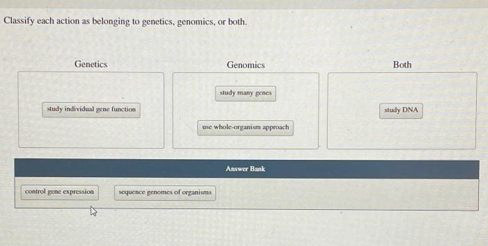 Genomics genetics genetic geneticeducation