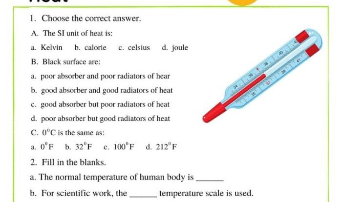 Temperature heat and expansion worksheet answer key