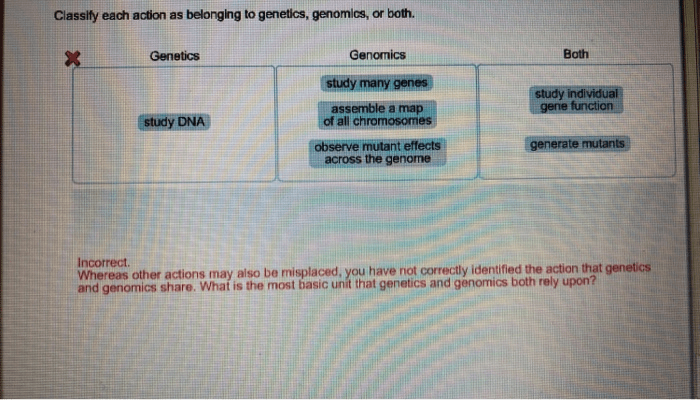 Classify each action as belonging to genetics genomics or both