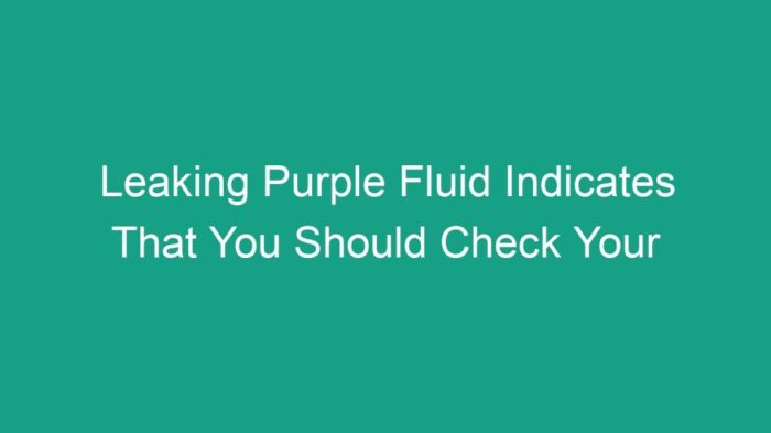 Leaking black fluid indicates that you should check your: